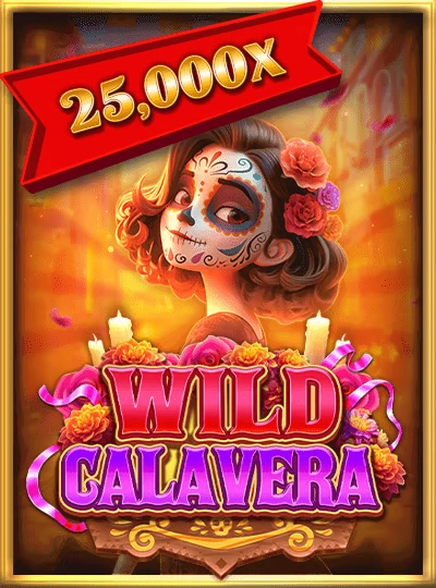 live789com live789com